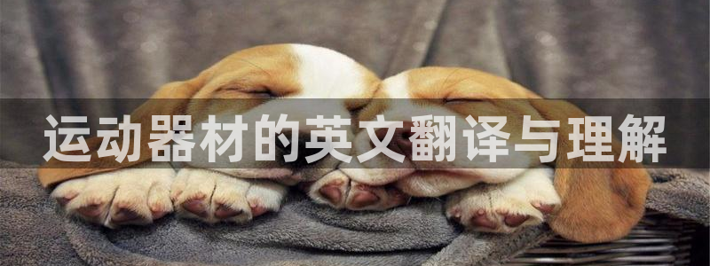 凯捷体育娱乐代理怎么样