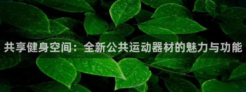 凯捷体育注册：共享健身空间：全新公共运动器材的魅力与功能