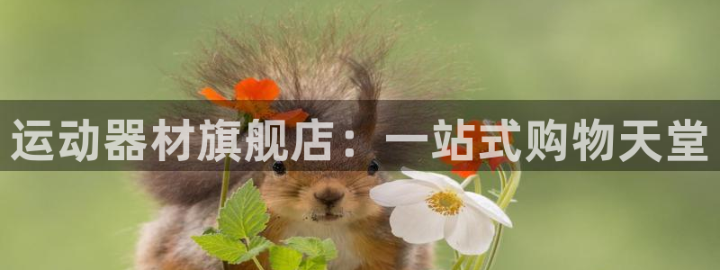 凯捷体育招商电话：运动器材旗舰店：一站式购物天堂