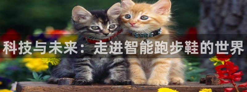 凯捷体育集团官网首页网址