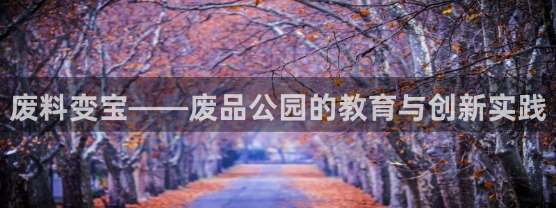 凯捷体育集团：废料变宝——废品公园的教育与创新实践