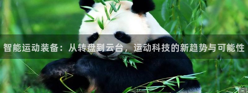 意昂集团官网：智能运动装备：从转盘到云台，运动科技的