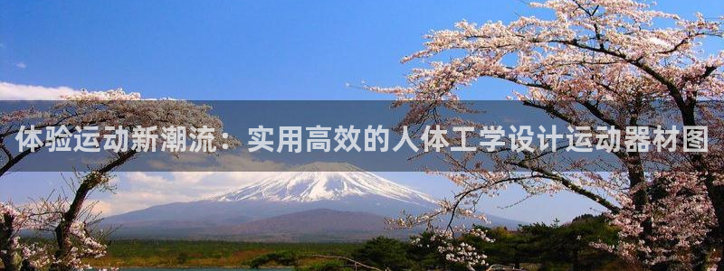 凯捷体育娱乐网站：体验运动新潮流：实用高效的人体工学