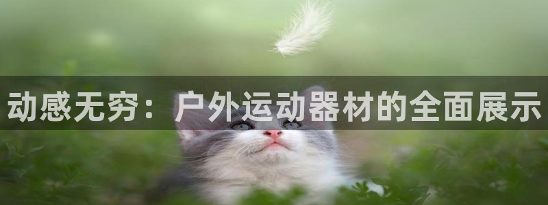 凯捷体育招商电话