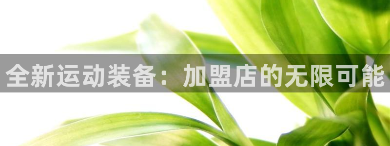 凯捷体育平台注册要钱吗安全吗：全新运动装备：加盟店的无限可能