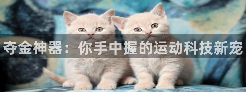 意昂平台体育：夺金神器：你手中握的运动科技新宠