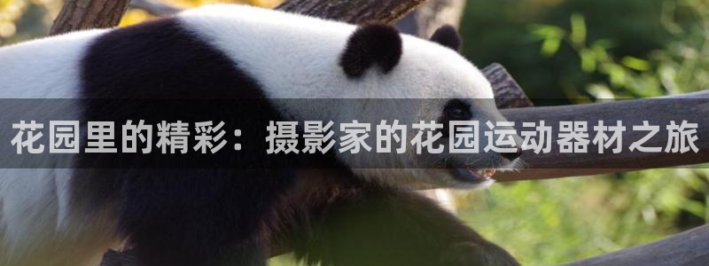 凯捷体育官方:花园里的精彩:摄影家的花园运动器材之旅