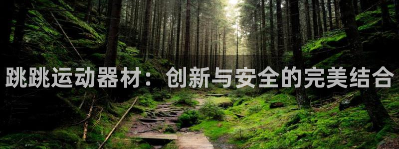 凯捷体育娱乐首页网站大全:跳跳运动器材:创新与安全的完美结合