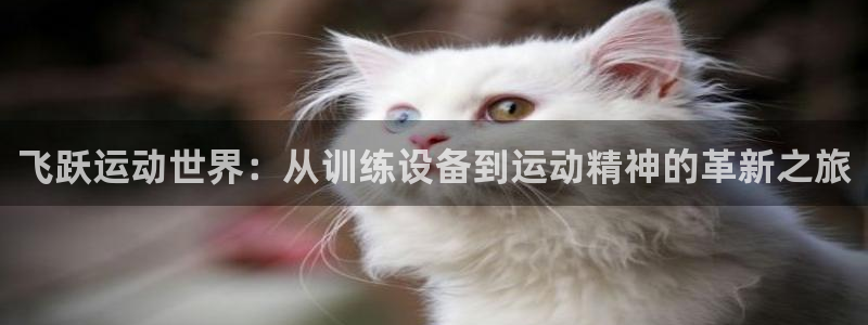 凯捷体育官网：飞跃运动世界：从训练设备到运动精神的革